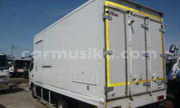 Tenga Tsaru Hino 300 Chena Rori in Beitbridge in Matabeleland South Tenga Tsaru Hino 300 Chena Rori in Beitbridge in Matabeleland South