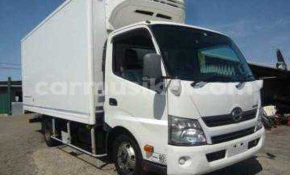 Tenga Tsaru Hino 300 Chena Rori in Beitbridge in Matabeleland South Tenga Tsaru Hino 300 Chena Rori in Beitbridge in Matabeleland South