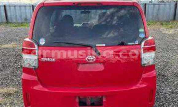 Tenga Tsaru Toyota Spade Tsvuku Mota in Beitbridge in Matabeleland South Tenga Tsaru Toyota Spade Tsvuku Mota in Beitbridge in Matabeleland South