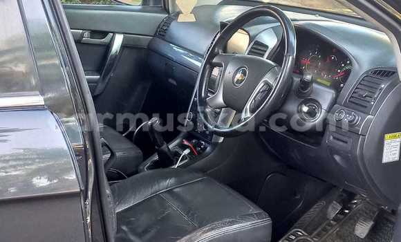 Buy Used Chevrolet Captiva Black Car in Gweru in Midlands