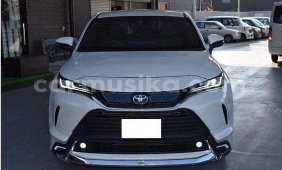 Buy Used Toyota Harrier White Car in Beitbridge in Matabeleland South