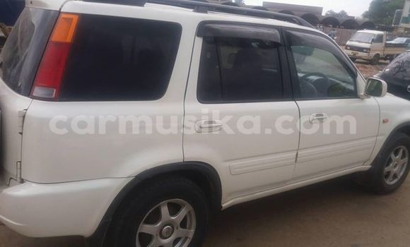 Buy Used Honda CR-V White Car in Alexandra Park in Harare Buy Used Honda CR-V White Car in Alexandra Park in Harare