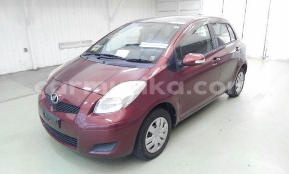 Buy Used Toyota Vitz Red Car in Beitbridge in Matabeleland South Buy Used Toyota Vitz Red Car in Beitbridge in Matabeleland South