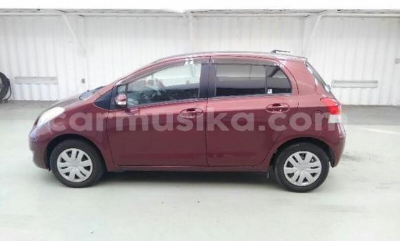 Buy Used Toyota Vitz Red Car in Beitbridge in Matabeleland South Buy Used Toyota Vitz Red Car in Beitbridge in Matabeleland South