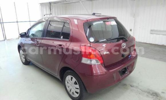 Buy Used Toyota Vitz Red Car in Beitbridge in Matabeleland South Buy Used Toyota Vitz Red Car in Beitbridge in Matabeleland South