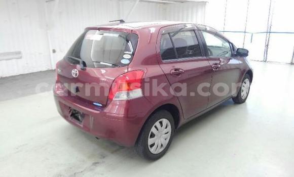 Buy Used Toyota Vitz Red Car in Beitbridge in Matabeleland South Buy Used Toyota Vitz Red Car in Beitbridge in Matabeleland South