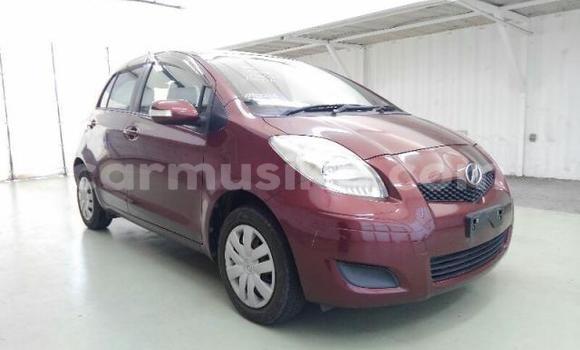 Buy Used Toyota Vitz Red Car in Beitbridge in Matabeleland South Buy Used Toyota Vitz Red Car in Beitbridge in Matabeleland South