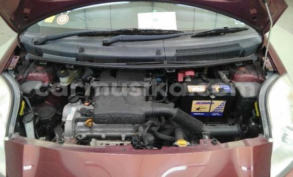 Buy Used Toyota Vitz Red Car in Beitbridge in Matabeleland South Buy Used Toyota Vitz Red Car in Beitbridge in Matabeleland South