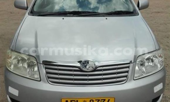 Buy Used Toyota Corolla Silver Car in Alexandra Park in Harare Buy Used Toyota Corolla Silver Car in Alexandra Park in Harare
