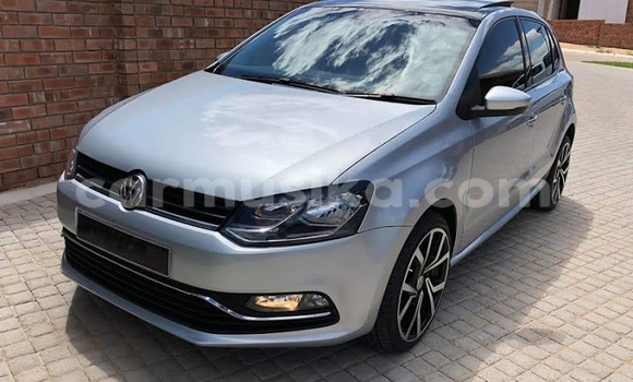 Buy Used Volkswagen Polo Silver Car in Beitbridge in Matabeleland South Buy Used Volkswagen Polo Silver Car in Beitbridge in Matabeleland South