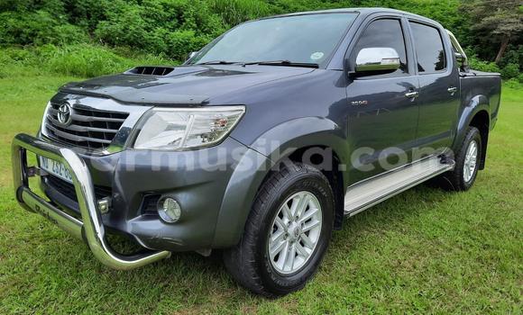 Acheter Occasion Voiture Toyota Hilux Autre à Beitbridge, Matabeleland South Acheter Occasion Voiture Toyota Hilux Autre à Beitbridge, Matabeleland South
