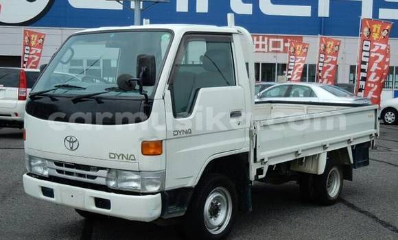 Buy Used Toyota Dyna White Truck in Beitbridge in Matabeleland South