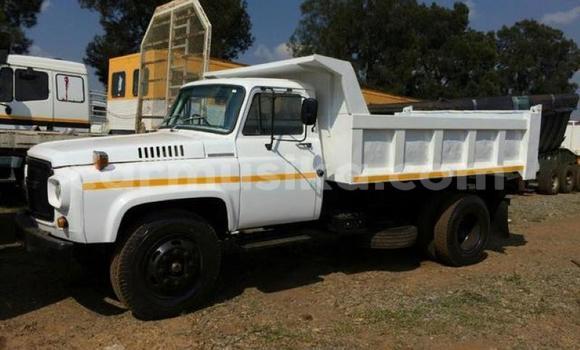 Buy Used Nissan UD White Truck in Beitbridge in Matabeleland South
