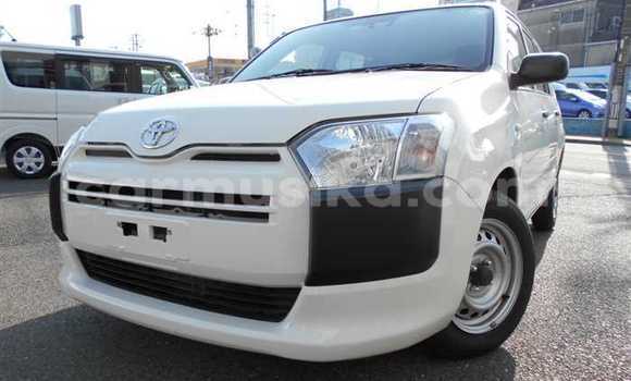 Acheter Occasion Voiture Toyota Probox Blanc à Beitbridge, Matabeleland South