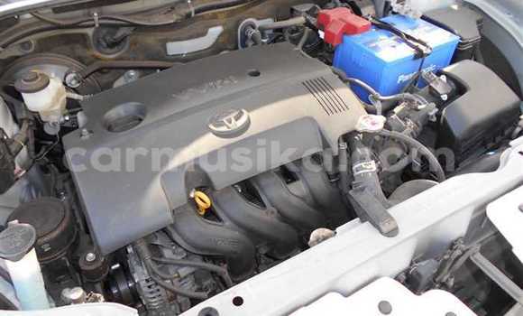 Acheter Occasion Voiture Toyota Probox Blanc à Beitbridge, Matabeleland South Acheter Occasion Voiture Toyota Probox Blanc à Beitbridge, Matabeleland South