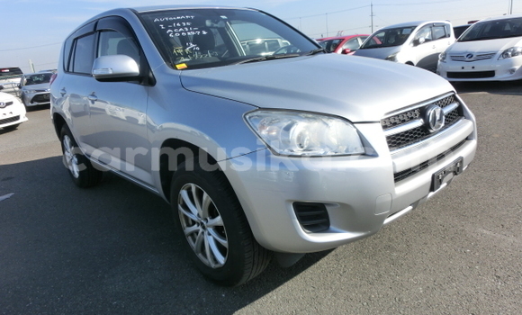 Tenga Tsaru Toyota RAV4 Sirivha Mota in Beitbridge in Matabeleland South