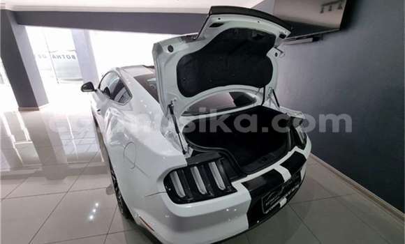 Acheter Occasion Voiture Ford Mustang Blanc à Borrowdale, Harare Acheter Occasion Voiture Ford Mustang Blanc à Borrowdale, Harare