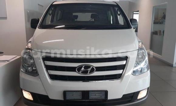 Tenga Tsaru Hyundai H1 Chena Mota in Beitbridge in Matabeleland South Tenga Tsaru Hyundai H1 Chena Mota in Beitbridge in Matabeleland South