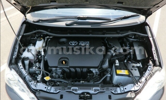 Acheter Occasion Voiture Toyota Wish Autre à Beitbridge, Matabeleland South Acheter Occasion Voiture Toyota Wish Autre à Beitbridge, Matabeleland South