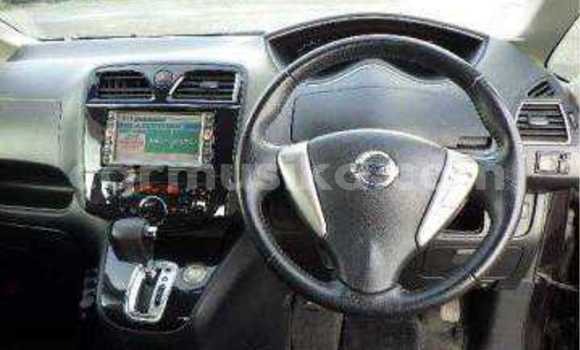 Tenga Tsaru Nissan Serena Nhema Mota in Beitbridge in Matabeleland South Tenga Tsaru Nissan Serena Nhema Mota in Beitbridge in Matabeleland South