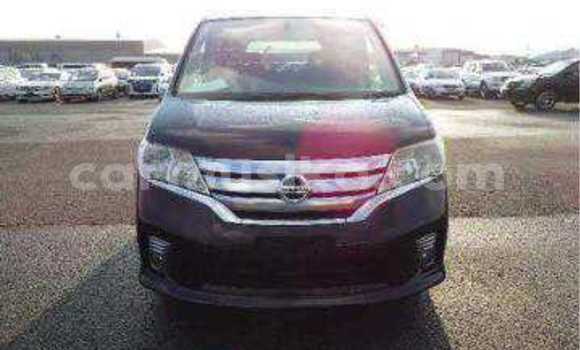 Tenga Tsaru Nissan Serena Nhema Mota in Beitbridge in Matabeleland South Tenga Tsaru Nissan Serena Nhema Mota in Beitbridge in Matabeleland South