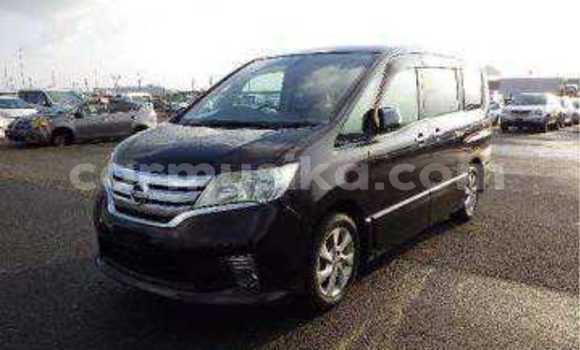 Tenga Tsaru Nissan Serena Nhema Mota in Beitbridge in Matabeleland South Tenga Tsaru Nissan Serena Nhema Mota in Beitbridge in Matabeleland South