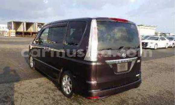 Tenga Tsaru Nissan Serena Nhema Mota in Beitbridge in Matabeleland South Tenga Tsaru Nissan Serena Nhema Mota in Beitbridge in Matabeleland South