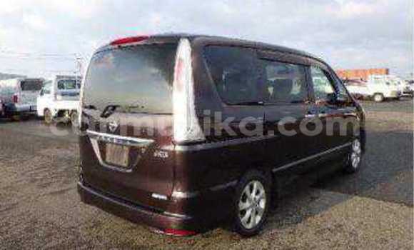 Tenga Tsaru Nissan Serena Nhema Mota in Beitbridge in Matabeleland South Tenga Tsaru Nissan Serena Nhema Mota in Beitbridge in Matabeleland South