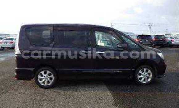 Tenga Tsaru Nissan Serena Nhema Mota in Beitbridge in Matabeleland South Tenga Tsaru Nissan Serena Nhema Mota in Beitbridge in Matabeleland South