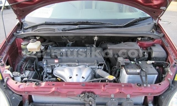 Buy Used Toyota Ipsum Red Car in Beitbridge in Matabeleland South Buy Used Toyota Ipsum Red Car in Beitbridge in Matabeleland South