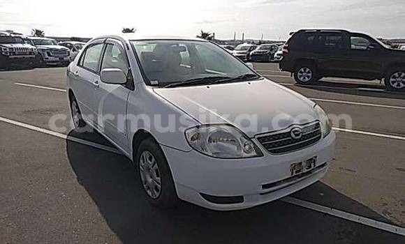 Acheter Occasion Voiture Toyota Corolla Blanc à Beitbridge, Matabeleland South