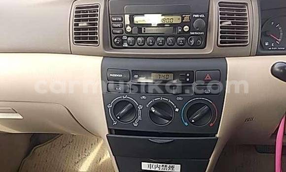 Buy Used Toyota Corolla White Car in Beitbridge in Matabeleland South Buy Used Toyota Corolla White Car in Beitbridge in Matabeleland South