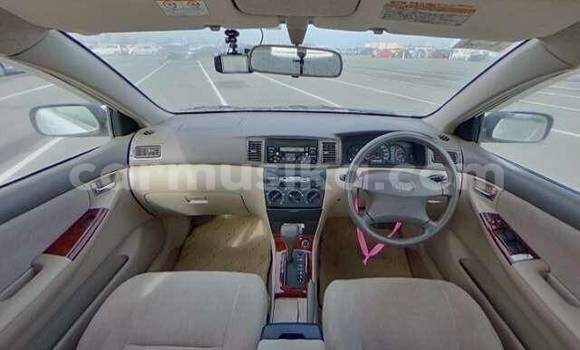 Buy Used Toyota Corolla White Car in Beitbridge in Matabeleland South Buy Used Toyota Corolla White Car in Beitbridge in Matabeleland South