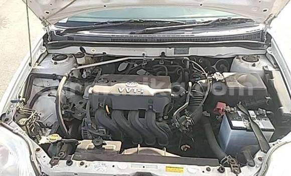 Buy Used Toyota Corolla White Car in Beitbridge in Matabeleland South Buy Used Toyota Corolla White Car in Beitbridge in Matabeleland South