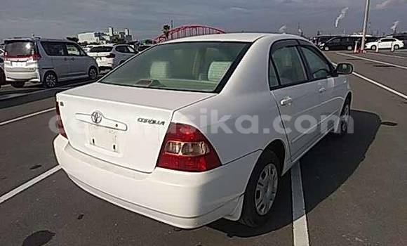 Buy Used Toyota Corolla White Car in Beitbridge in Matabeleland South Buy Used Toyota Corolla White Car in Beitbridge in Matabeleland South