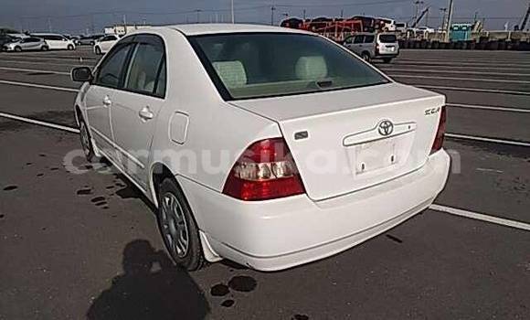 Buy Used Toyota Corolla White Car in Beitbridge in Matabeleland South Buy Used Toyota Corolla White Car in Beitbridge in Matabeleland South