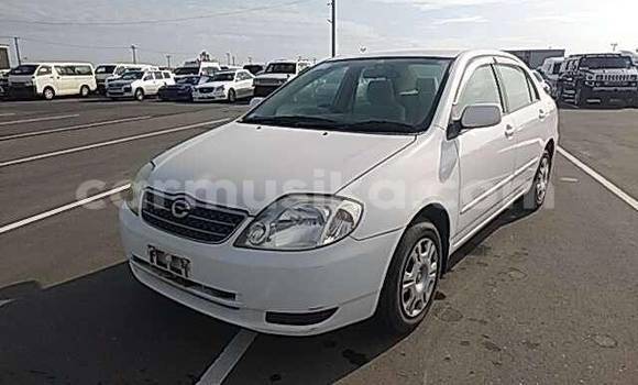 Buy Used Toyota Corolla White Car in Beitbridge in Matabeleland South Buy Used Toyota Corolla White Car in Beitbridge in Matabeleland South