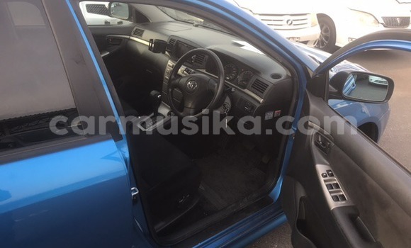 Buy Used Toyota Runx Blue Car in Beitbridge in Matabeleland South Buy Used Toyota Runx Blue Car in Beitbridge in Matabeleland South