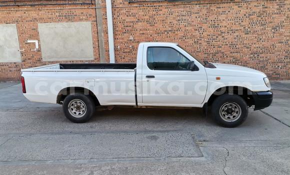 Tenga Tsaru Nissan Hardbody Chena Mota in Beitbridge in Matabeleland South Tenga Tsaru Nissan Hardbody Chena Mota in Beitbridge in Matabeleland South