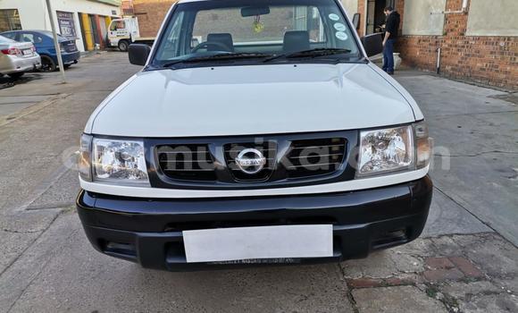 Nunua Ilio tumika Nissan Hardbody Nyeupe Gari ndani ya Beitbridge nchini Matabeleland Kusini Nunua Ilio tumika Nissan Hardbody Nyeupe Gari ndani ya Beitbridge nchini Matabeleland Kusini