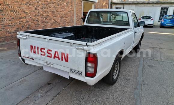 Nunua Ilio tumika Nissan Hardbody Nyeupe Gari ndani ya Beitbridge nchini Matabeleland Kusini Nunua Ilio tumika Nissan Hardbody Nyeupe Gari ndani ya Beitbridge nchini Matabeleland Kusini