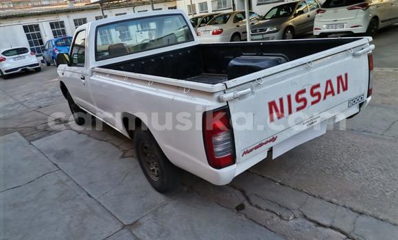 Nunua Ilio tumika Nissan Hardbody Nyeupe Gari ndani ya Beitbridge nchini Matabeleland Kusini Nunua Ilio tumika Nissan Hardbody Nyeupe Gari ndani ya Beitbridge nchini Matabeleland Kusini