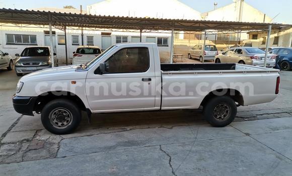 Nunua Ilio tumika Nissan Hardbody Nyeupe Gari ndani ya Beitbridge nchini Matabeleland Kusini Nunua Ilio tumika Nissan Hardbody Nyeupe Gari ndani ya Beitbridge nchini Matabeleland Kusini