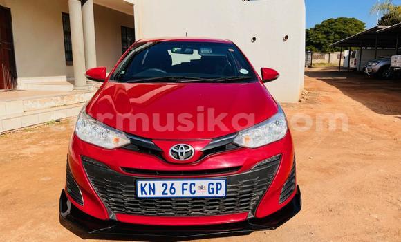 Acheter Occasion Voiture Toyota Yaris Rouge à Beitbridge, Matabeleland South
