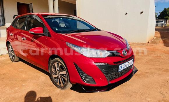 Buy Used Toyota Yaris Red Car in Beitbridge in Matabeleland South Buy Used Toyota Yaris Red Car in Beitbridge in Matabeleland South