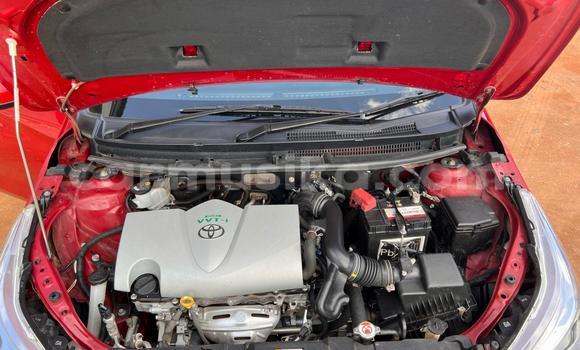 Buy Used Toyota Yaris Red Car in Beitbridge in Matabeleland South Buy Used Toyota Yaris Red Car in Beitbridge in Matabeleland South