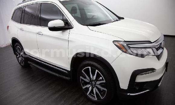 Tenga Tsaru Honda Pilot Chena Mota in Beitbridge in Matabeleland South Tenga Tsaru Honda Pilot Chena Mota in Beitbridge in Matabeleland South