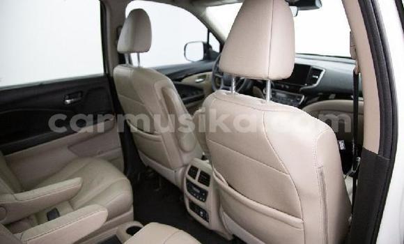 Tenga Tsaru Honda Pilot Chena Mota in Beitbridge in Matabeleland South Tenga Tsaru Honda Pilot Chena Mota in Beitbridge in Matabeleland South