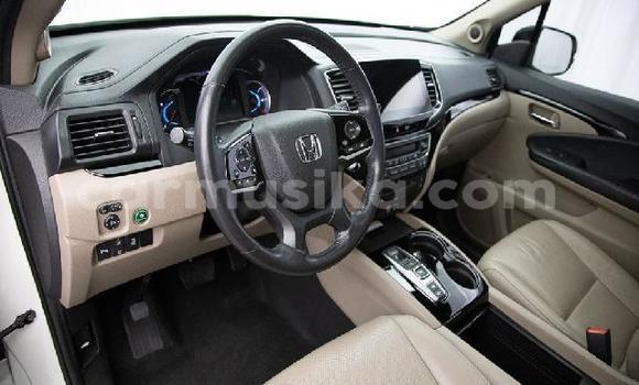 Tenga Tsaru Honda Pilot Chena Mota in Beitbridge in Matabeleland South Tenga Tsaru Honda Pilot Chena Mota in Beitbridge in Matabeleland South