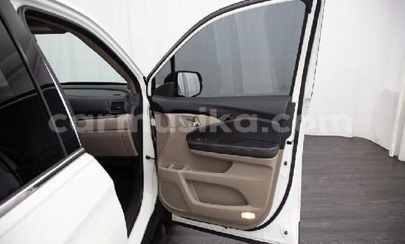 Tenga Tsaru Honda Pilot Chena Mota in Beitbridge in Matabeleland South Tenga Tsaru Honda Pilot Chena Mota in Beitbridge in Matabeleland South